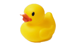 rubber-duck1.jpg